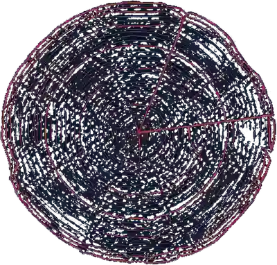 baum
